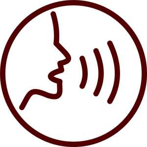 Voice icon